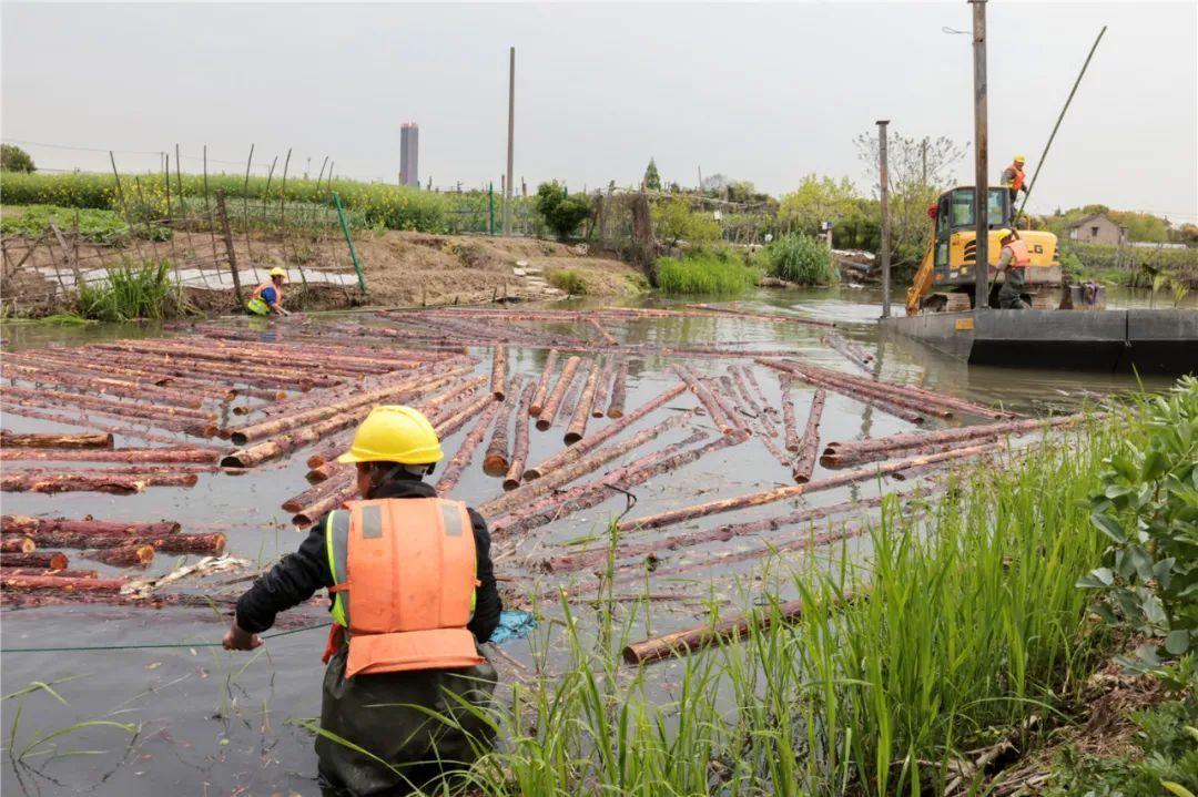 改善水環境！徐行122條段村級河道用木樁對河岸進行加固整治