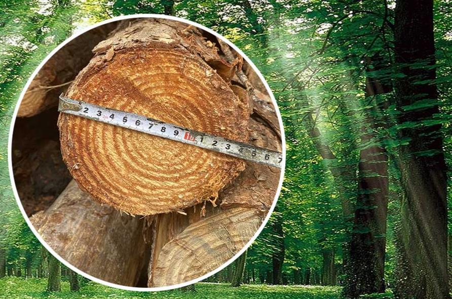 松木樁規格中大頭和小頭是指什么？松木樁大頭18cm小頭是多少