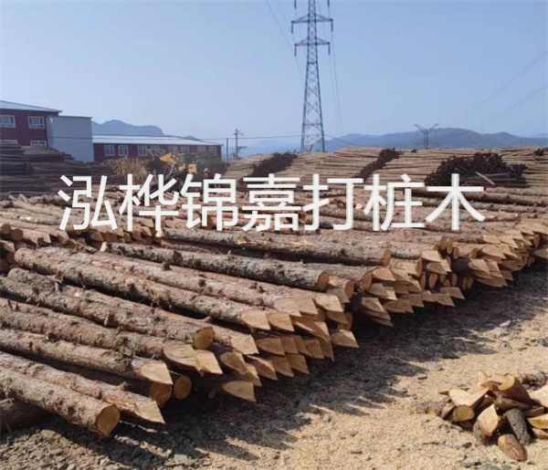高效、穩定的松木樁圍護施工圖
