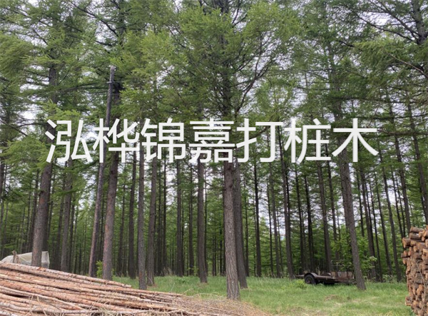 上海圍欄松木樁施工，為你打造安全舒適的園林空間