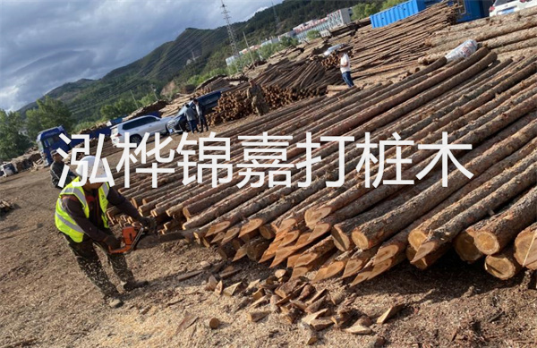 上海護岸松木樁施工，保護城市江岸美景
