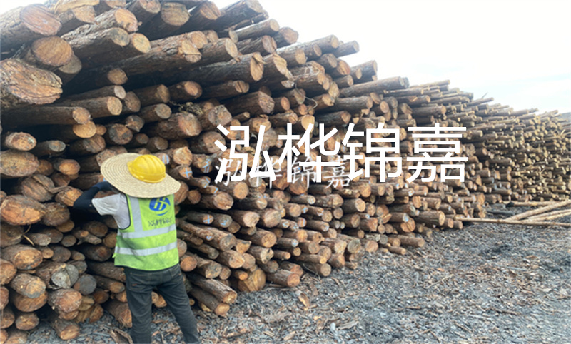 杉木樁批發——打造建筑工程的穩固基石