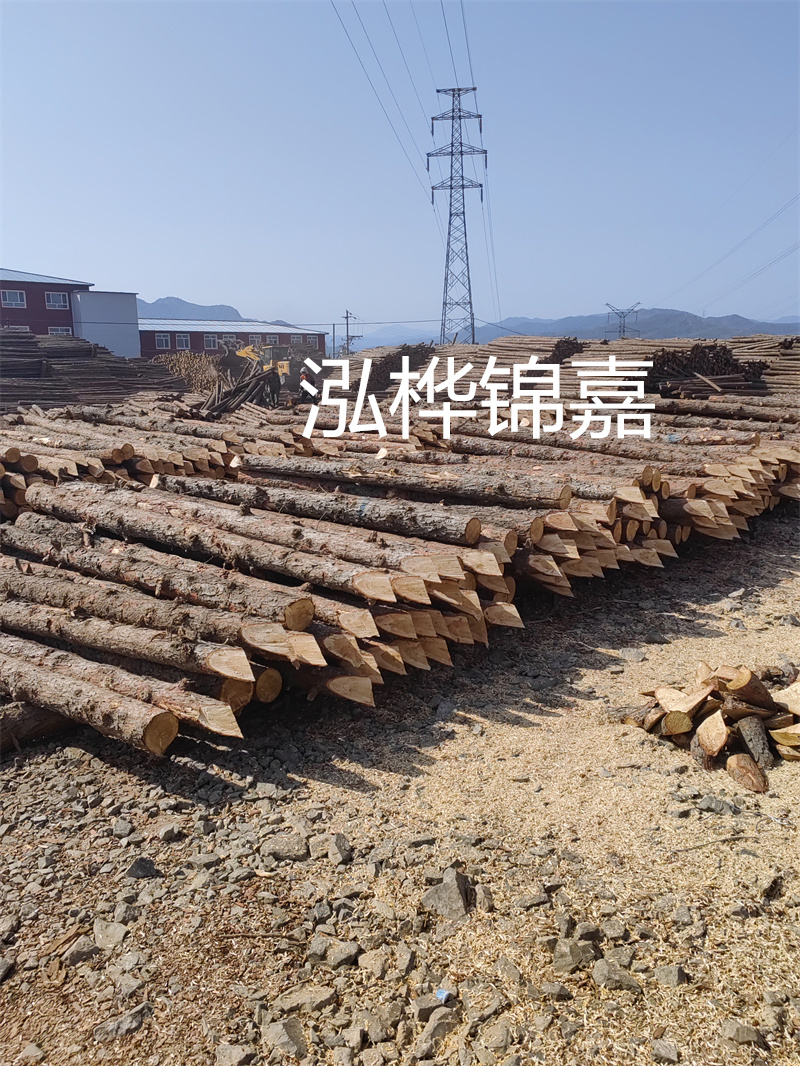 上海河道松木樁施工，打造美麗城市綠色生態環境