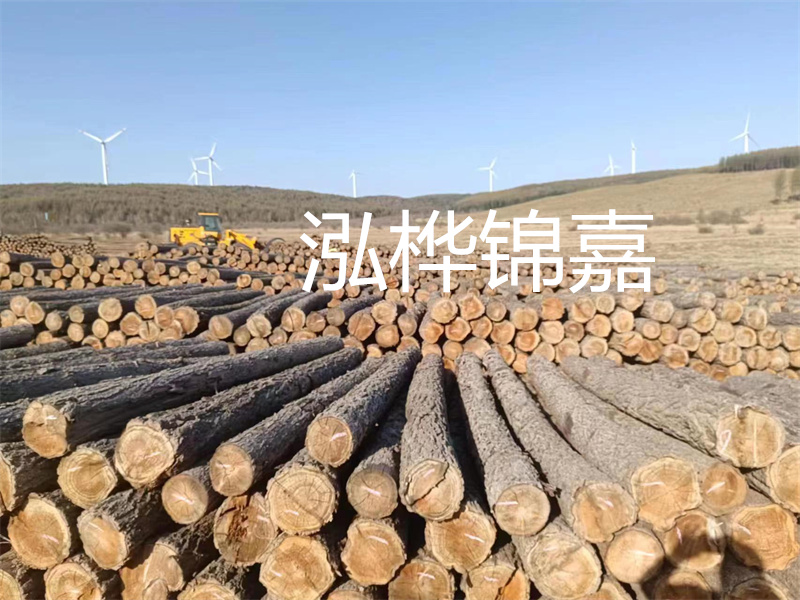 溫州松木樁施工廠家——為您打造堅固穩定的建筑基礎！