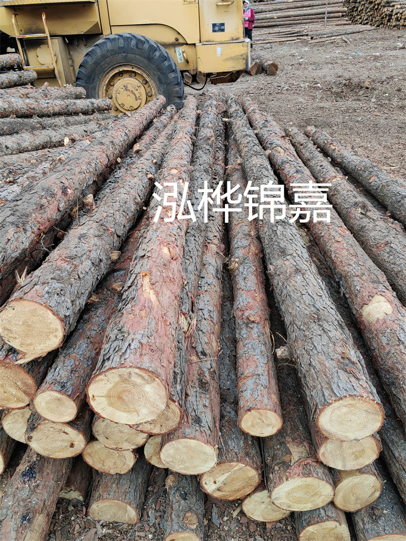 松木樁作為樁基施工平臺，穩固可靠！
